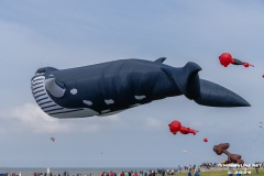 Drachenfest-Drachenwiese-Norddeich-Stadt-Norden-9.5.2024-7