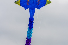 Drachenfest-Drachenwiese-Norddeich-Stadt-Norden-9.5.2024-70
