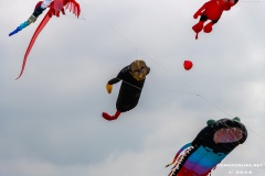 Drachenfest-Drachenwiese-Norddeich-Stadt-Norden-9.5.2024-71