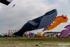 Drachenfest-Drachenwiese-Norddeich-Stadt-Norden-9.5.2024-79