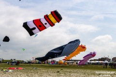 Drachenfest-Drachenwiese-Norddeich-Stadt-Norden-9.5.2024-80