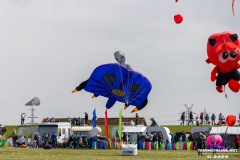 Drachenfest-Drachenwiese-Norddeich-Stadt-Norden-9.5.2024-83