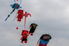 Drachenfest-Drachenwiese-Norddeich-Stadt-Norden-9.5.2024-87