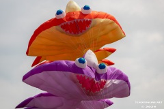 Drachenfest-Drachenwiese-Norddeich-Stadt-Norden-9.5.2024-95