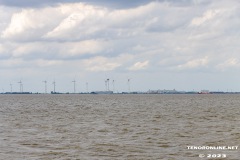 ehemalige-Bohrinsel-Dyksterhusen-15.7.2023-5