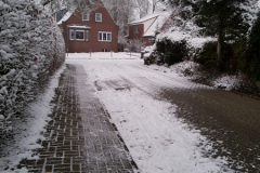 Eibenweg Februar 2019