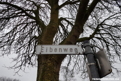 Eibenweg Norden Februar 2019--1