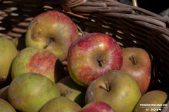 Erntedankfest-Norden-5.10.2019-28