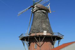Frisia Mühle bzw Gnurremühle Norden Norder Tor 25.2.19-1