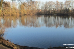 Frisiasee Norden