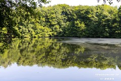 Frisiasee-Frisia-See-Kiessee-Stadt-Norden-25.6.2023-2