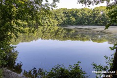 Frisiasee-Frisia-See-Kiessee-Stadt-Norden-25.6.2023-3