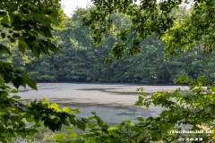 Frisiasee-Frisia-See-Kiessee-Stadt-Norden-25.6.2023-5