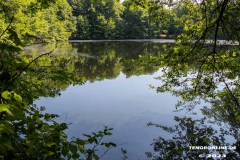 Frisiasee-Frisia-See-Kiessee-Stadt-Norden-25.6.2023-7