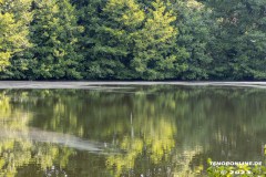 Frisiasee-Frisia-See-Kiessee-Stadt-Norden-25.6.2023-8