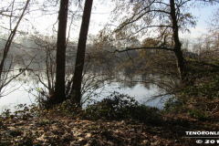 Frisiasee Norden 17.2.2019-11