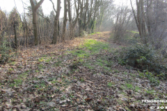 Frisiasee Norden 17.2.2019-12