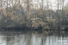 Frisiasee Norden 17.2.2019-14