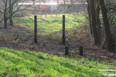 Frisiasee Norden 17.2.2019-15