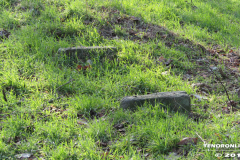 Frisiasee Norden 17.2.2019-16