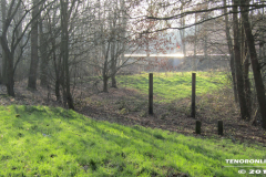 Frisiasee Norden 17.2.2019-17