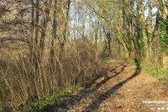 Frisiasee Norden 17.2.2019-18