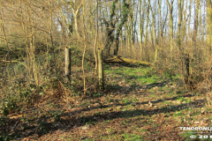 Frisiasee Norden 17.2.2019-22