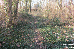 Frisiasee Norden 17.2.2019-24