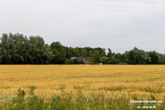 Grossheider-Strasse-Grossheide-22.6.2023-13