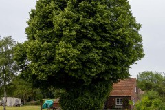 Grossheider-Strasse-Grossheide-22.6.2023-17