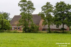 Lindenhof-Am-Berumerfehnkanal-Berumerfehn-Grossheide-22.6.2023-6