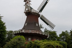 Rote-Muehle-Berumerfehn-22.6.2023-4