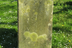 Grabsteine-alter-Norder-Friedhof-Ludgerikirche-Norden-21.4.2019-20