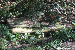 Grabsteine-alter-Norder-Friedhof-Ludgerikirche-Norden-21.4.2019-42