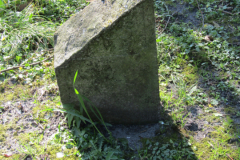 Grabsteine-alter-Norder-Friedhof-Ludgerikirche-Norden-21.4.2019-72