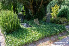 Buse-Grabstein-Grab-Parkfriedhof-Stadt-Norden-6.8.2022-50