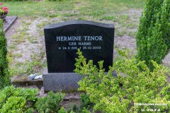 Familie-Tenor-Friedhof-Stadt-Norden-7.8.2022-4