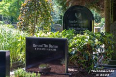 Gustav-Damm-Berend-Tilo-Damm-Bernhardine-Damm-Grabstein-Grab-Parkfriedhof-Stadt-Norden-6.8.2022-56