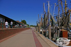 Greetsiel-Ostfriesland-18.6.2017-22