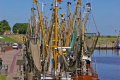 Greetsiel-Ostfriesland-18.6.2017-26