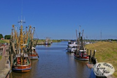 Greetsiel-Ostfriesland-18.6.2017-27
