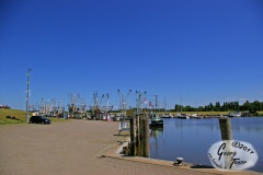 Greetsiel-Ostfriesland-18.6.2017-32