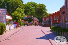 Greetsiel-Ostfriesland-18.6.2017-47