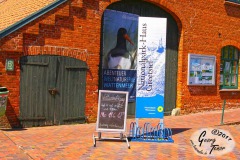 Greetsiel-Ostfriesland-18.6.2017-6