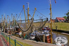 Greetsiel-Ostfriesland-18.6.2017-60