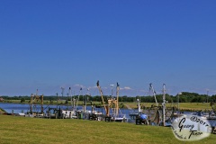Greetsiel-Ostfriesland-18.6.2017-77