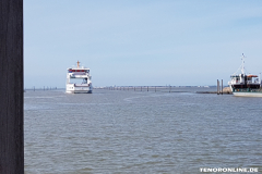 Hafen Mole Norden-Norddeich 14.6.2017-3