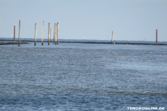 Hafen Norden- Norddeich 2.3.2019-8