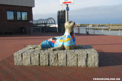 Seehund Frisia Hafen Norden- Norddeich 2.3.2019-6