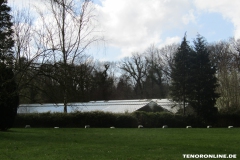 alte-Gewaechshaeuser-Berumer-Allee-Hage-24.3.2019-12